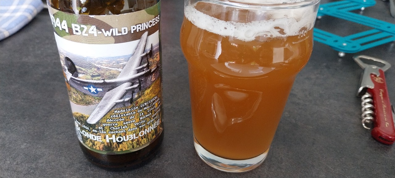 1944 B24-Wild Princess, La Mousse Des Temps