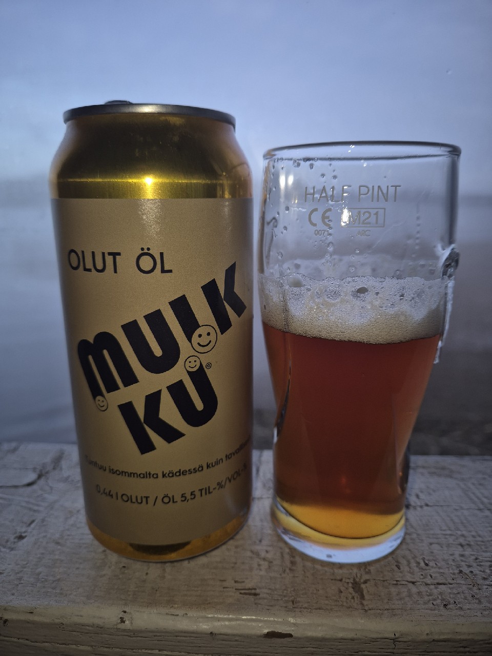 Suomipop Festivaali Festaribisse, Finland