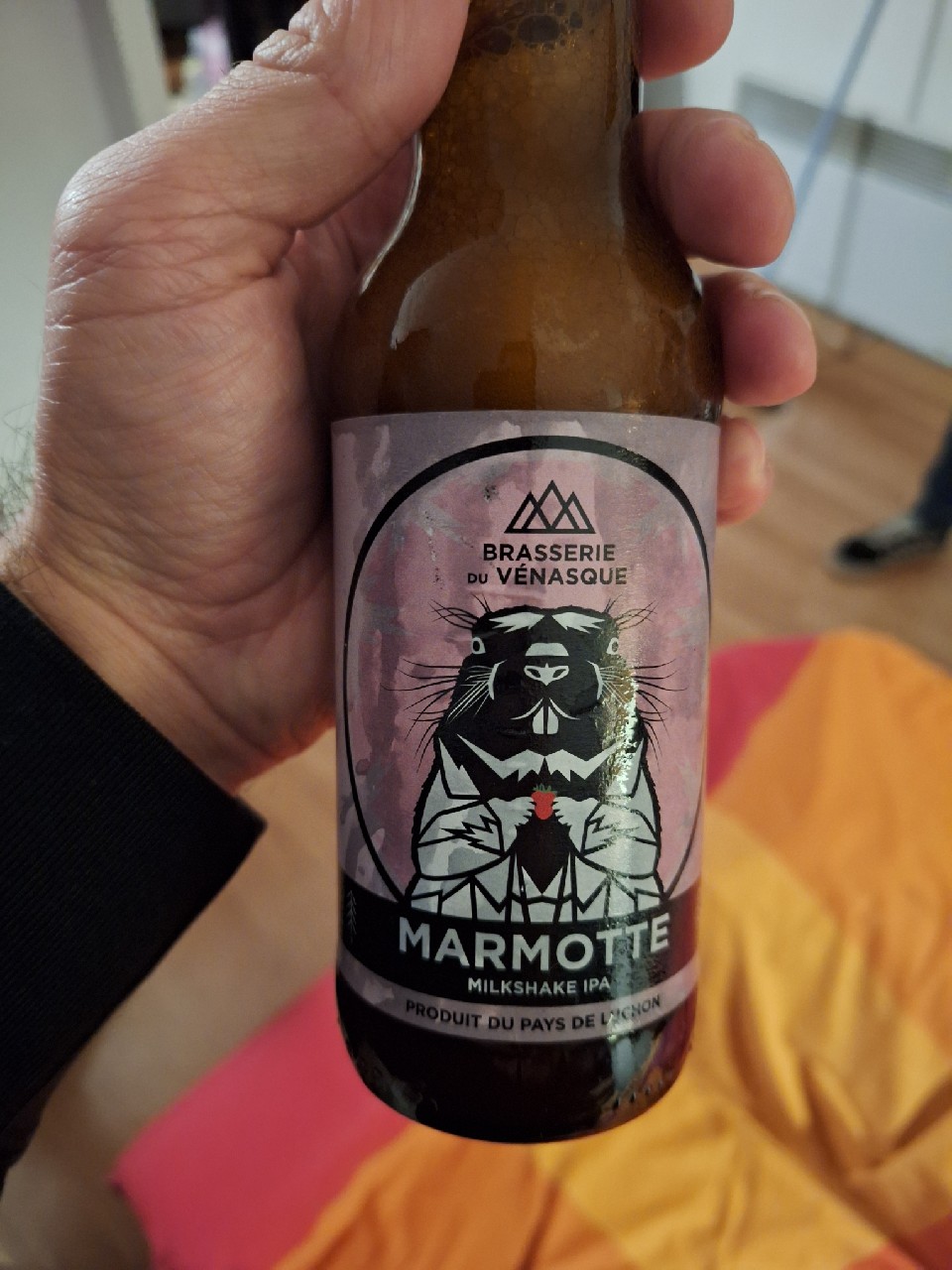 Marmotte, France