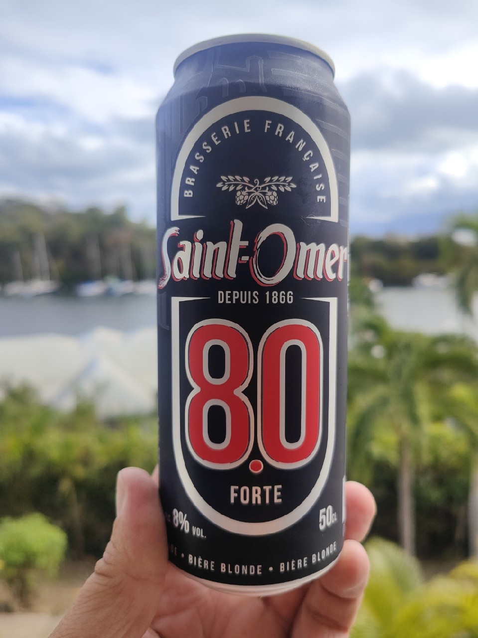 Bière Forte 8.0, France