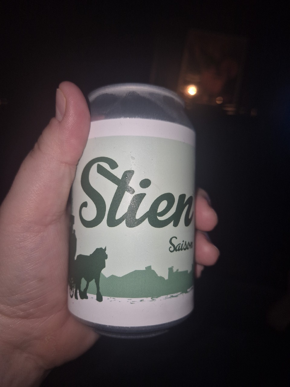 Stien Saison, BeerSelect