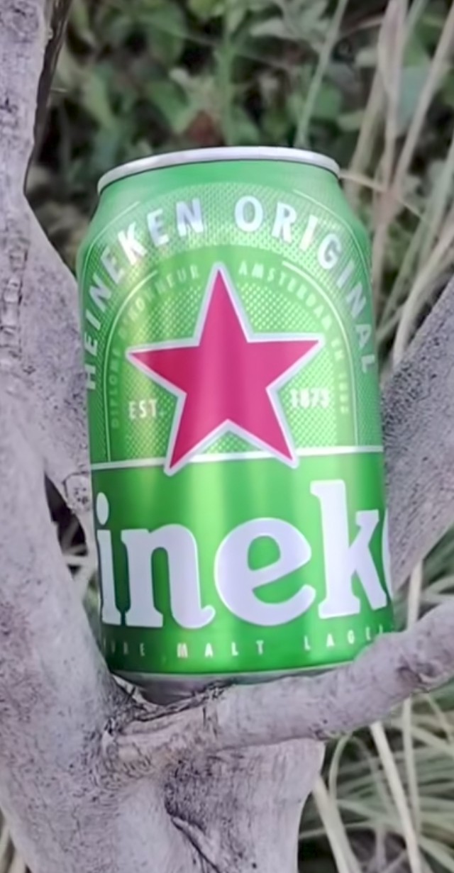 Heineken, Heineken Nederland