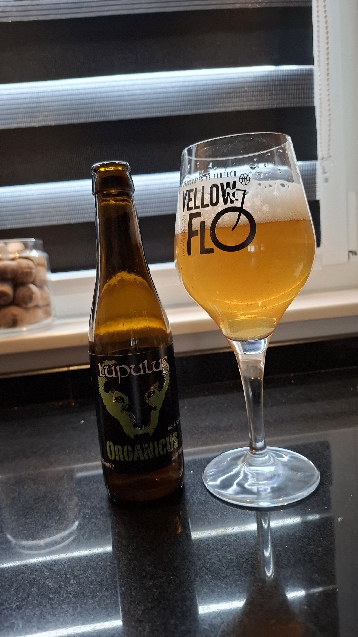 Organicus, Belgium