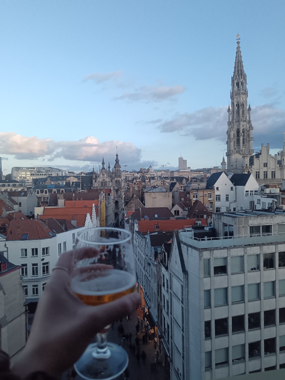 Tripel d'Anvers, Brouwerij De Koninck (Duvel-Moortgat)