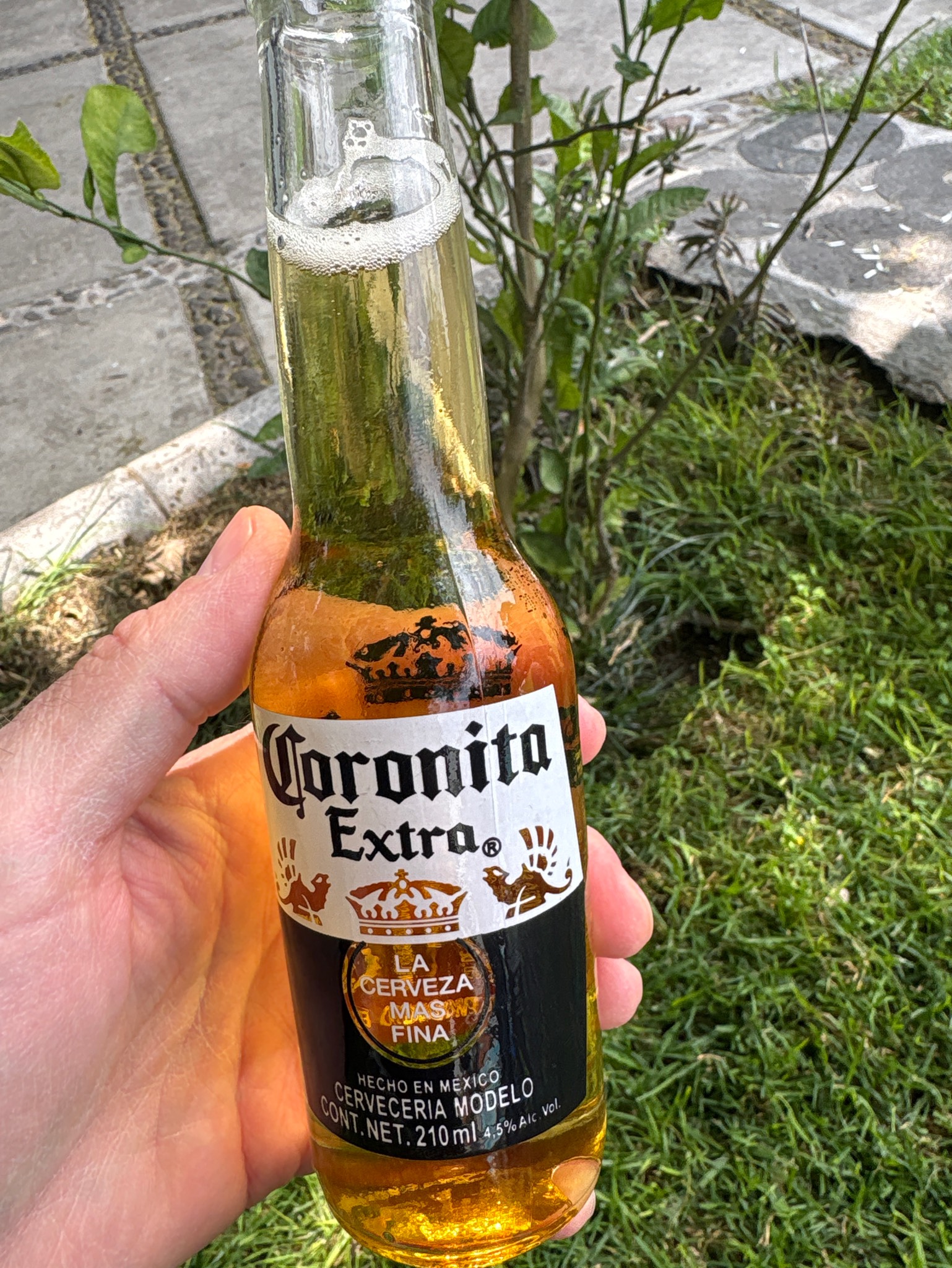 Corona Extra, Mexico