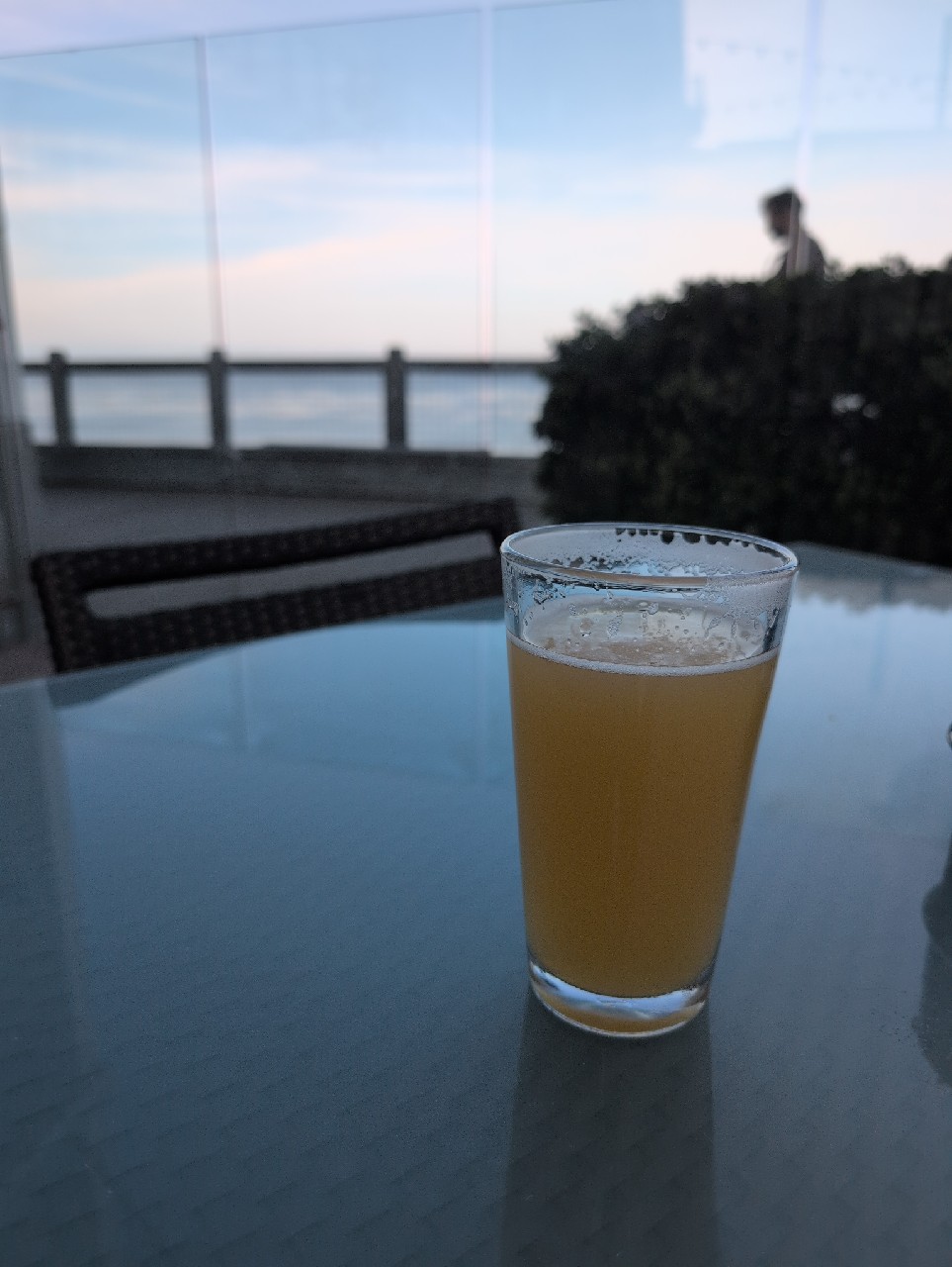 Bumber Toads, Humble Sea Brewing Company