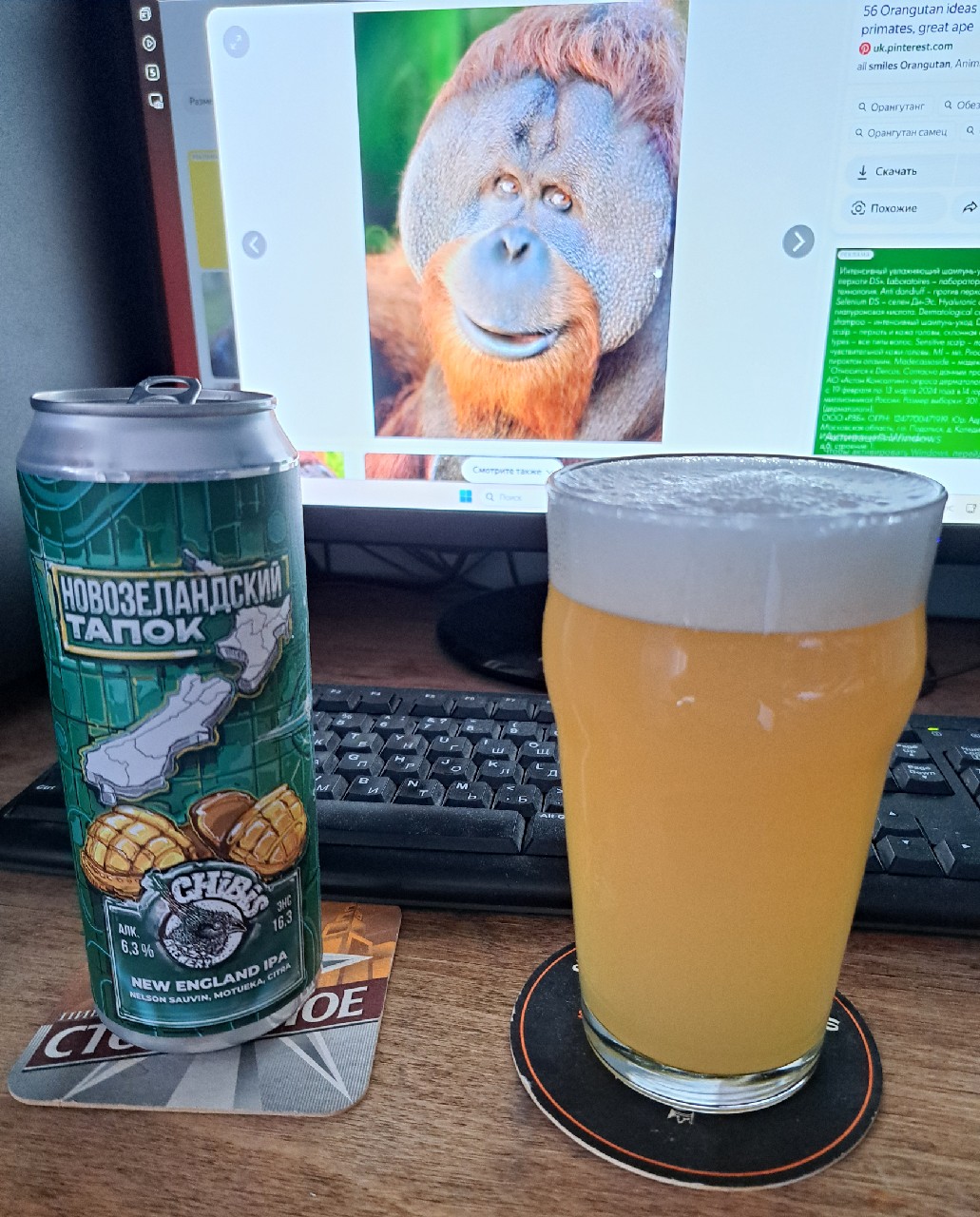 Novozelandskiy Tapok / Новозеландский Тапок, Chibis Brewery