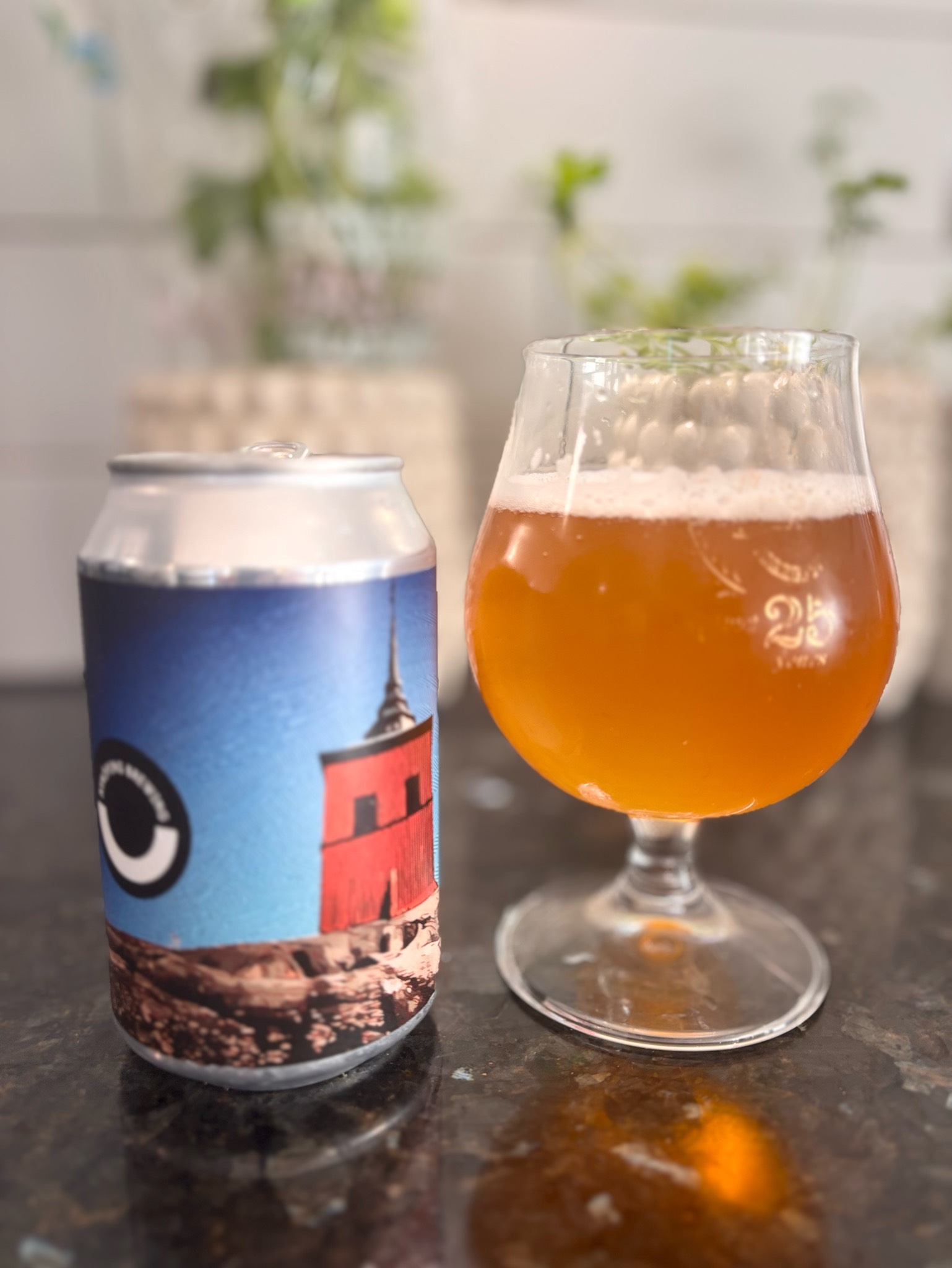 611 lager, Nyköping Brewing Company