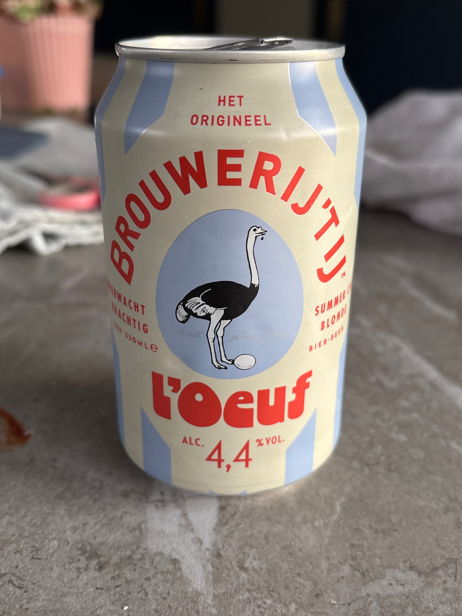 Brouwerij'Tij L'oeuf, Brouwerij 't IJ