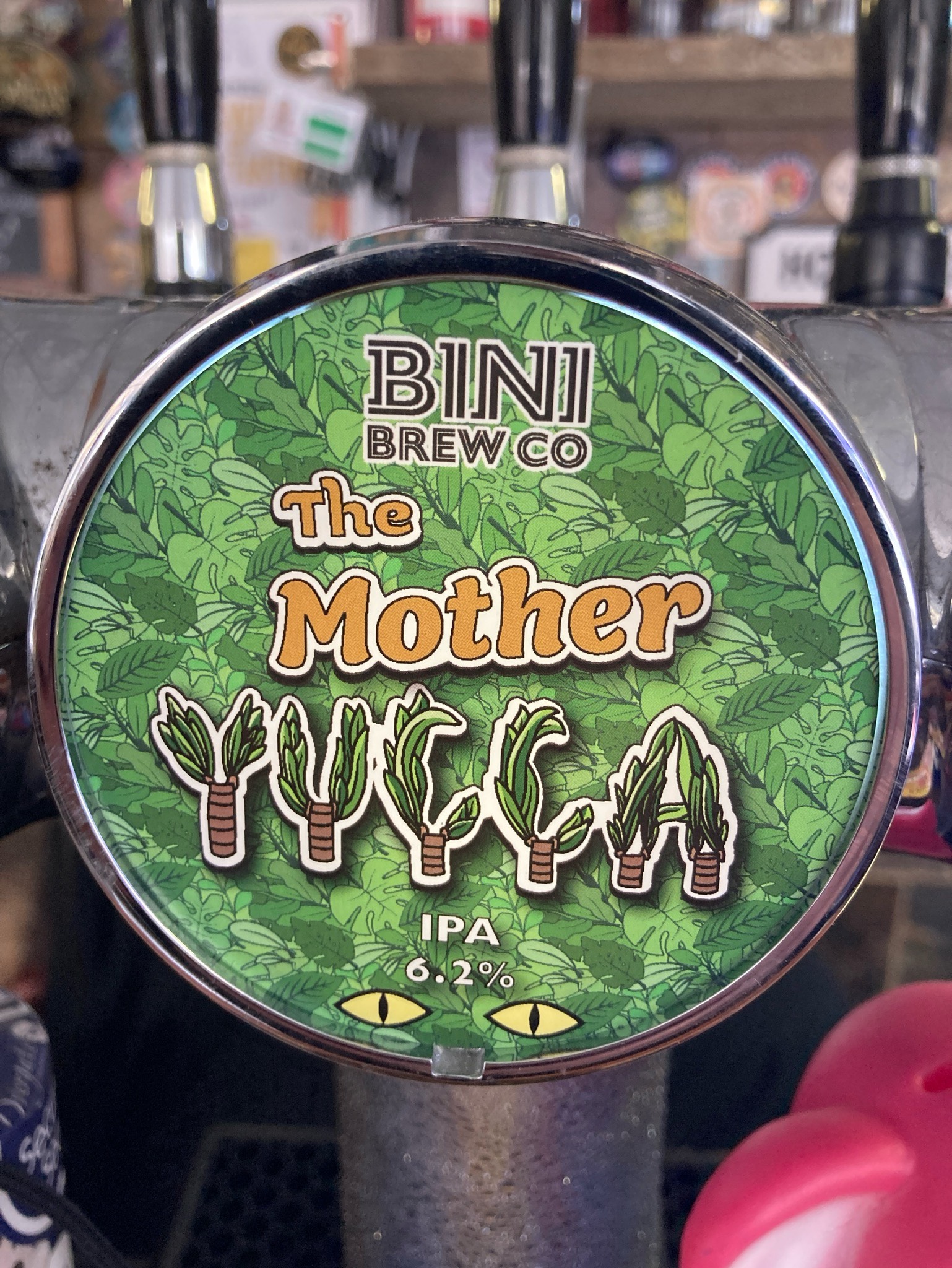 The mother yucca, Bini Brew Co.