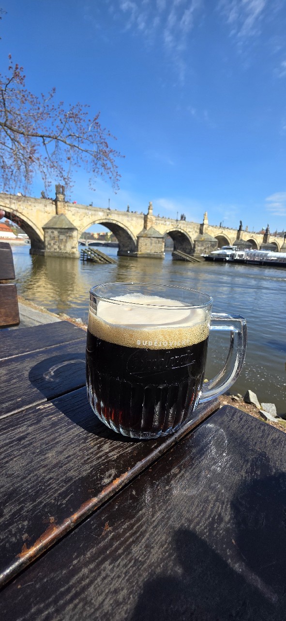 Budějovický Budvar Tmavý Ležák / Czechvar B: Dark, Budějovický Budvar