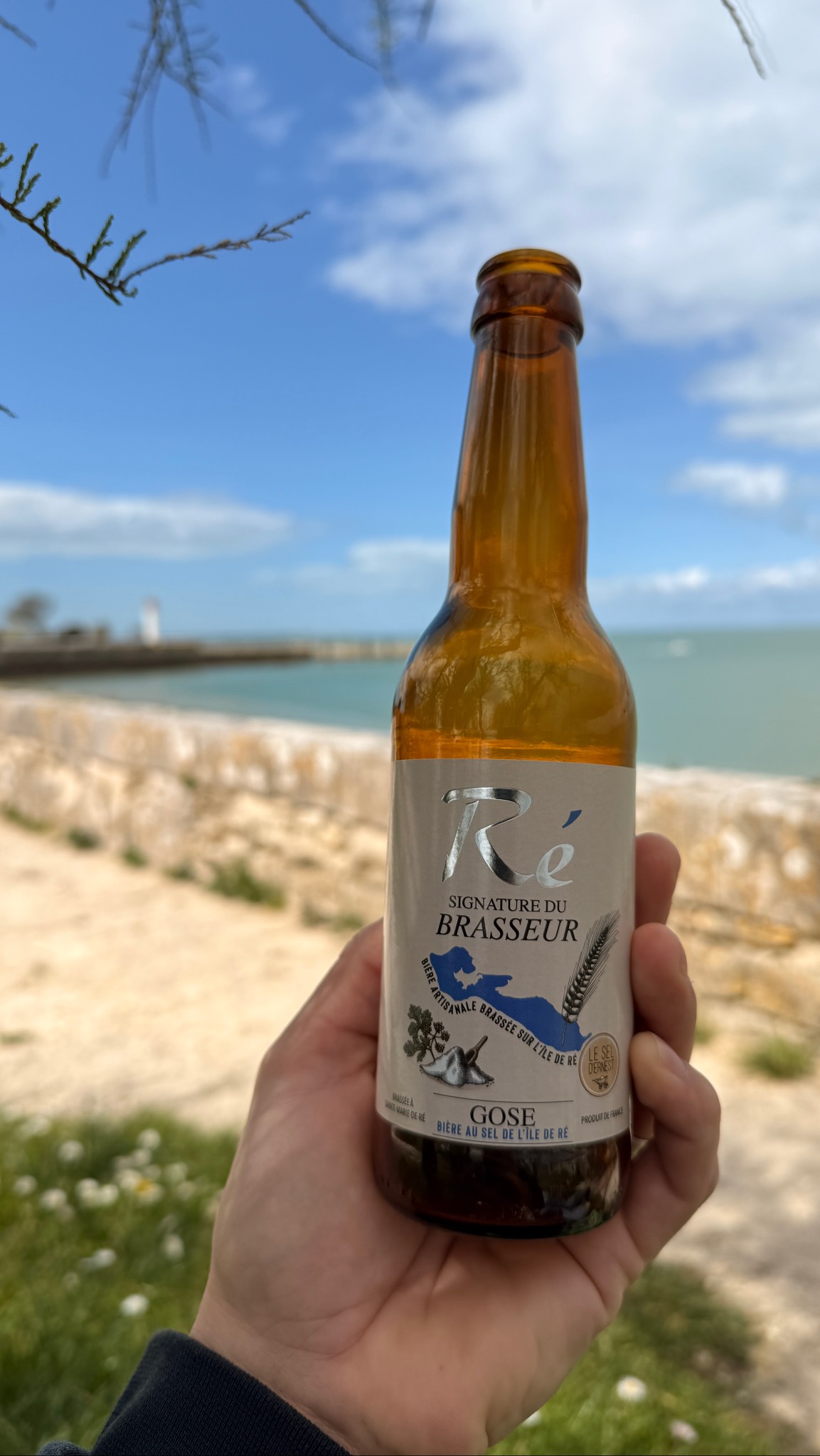 Ré Gose, Bières De Ré