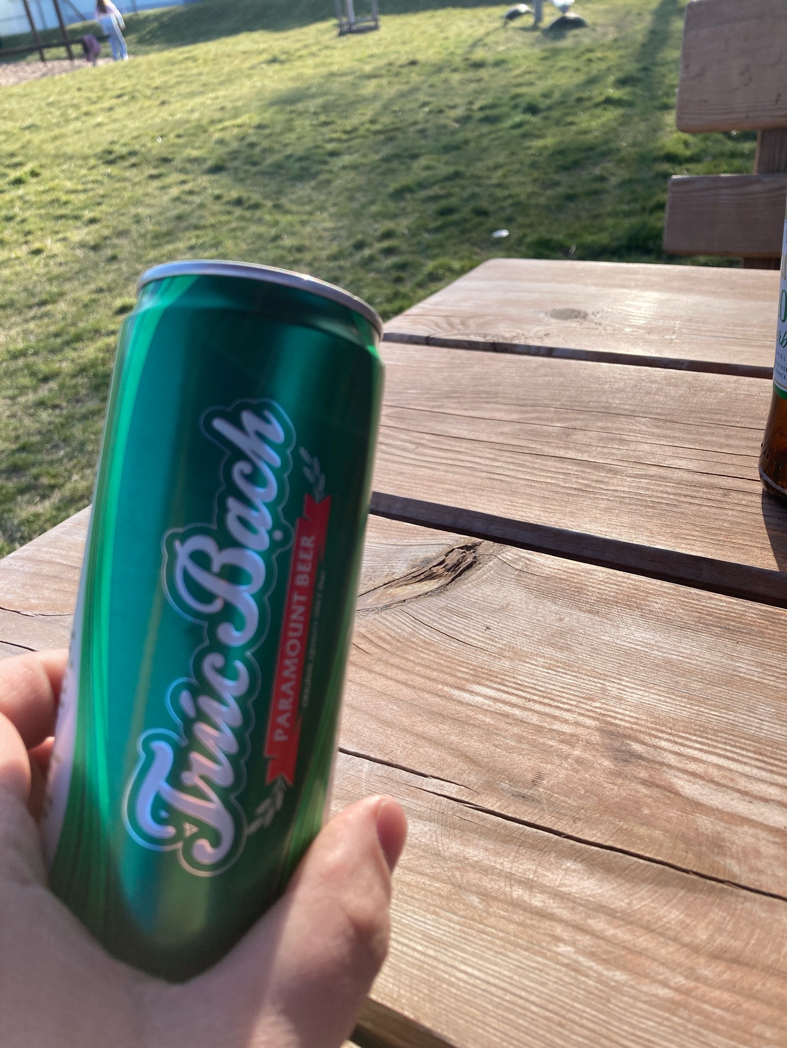 Trúc Bạch, Habeco (Hanoi Alcohol Beer and Beverage Company)