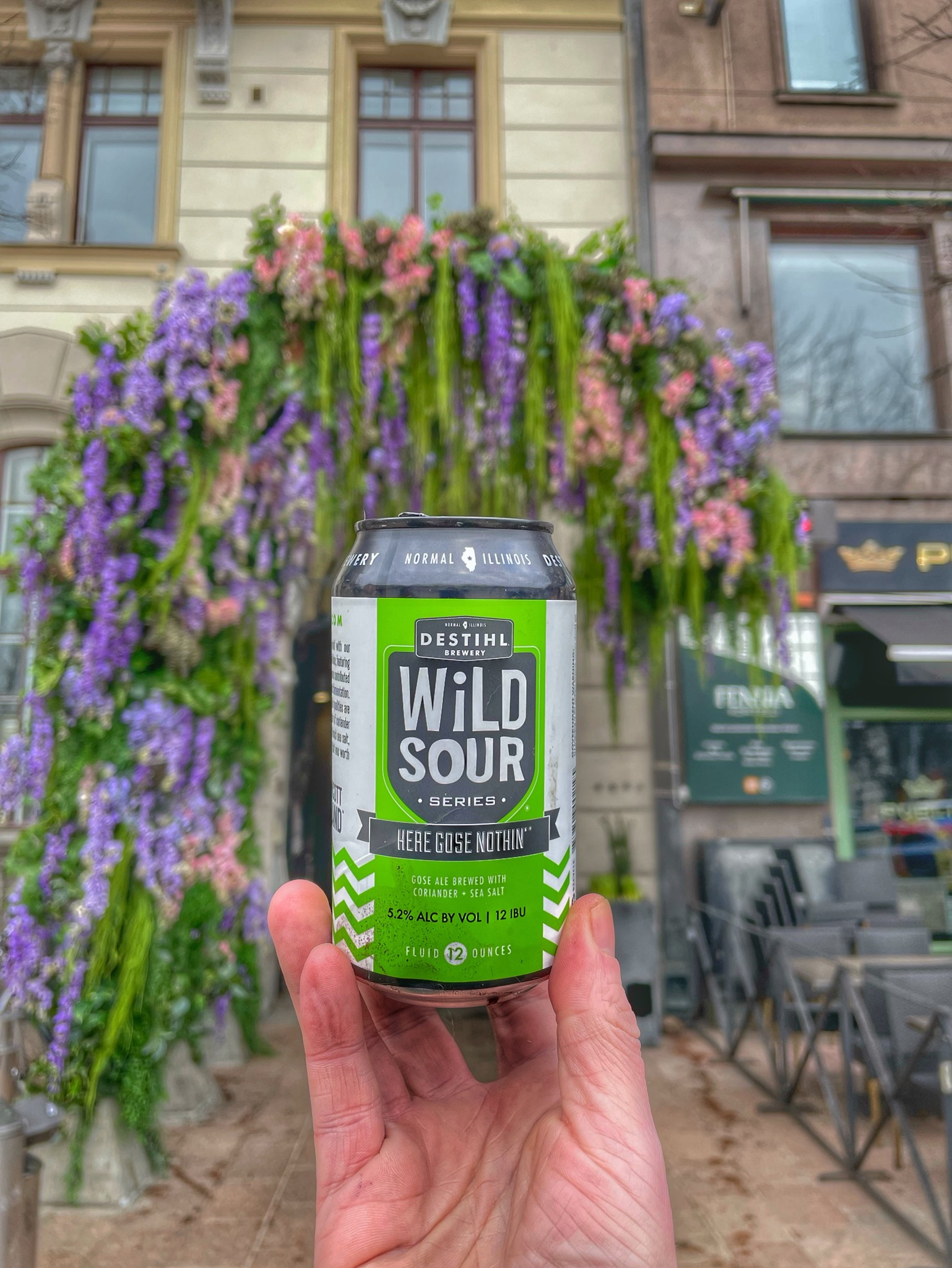 Wild Sour Series: Here Gose Nothin', Destihl Brewery