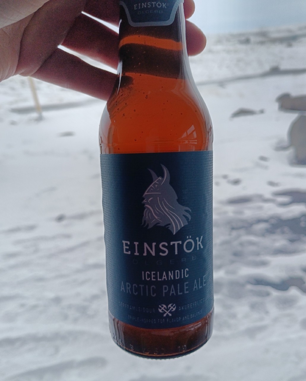 Icelandic Arctic Pale Ale, Iceland