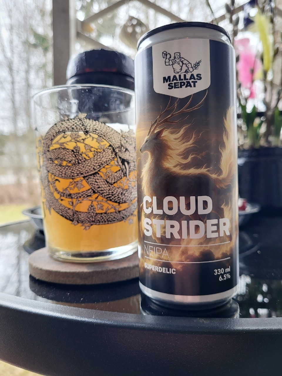 Cloud Strider, Finland