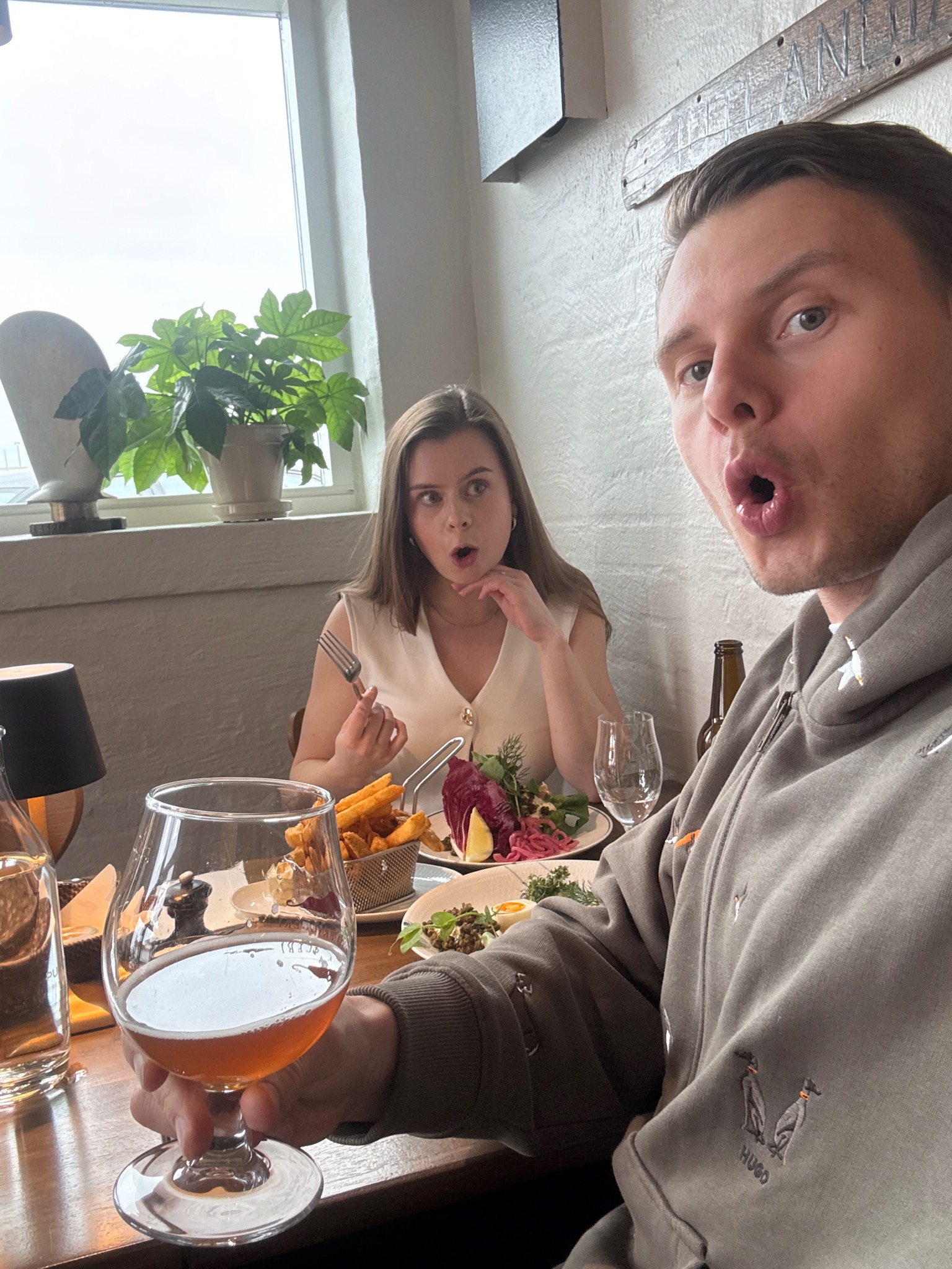 Ærø Økologisk Dark Ale, Ærø Bryggeri