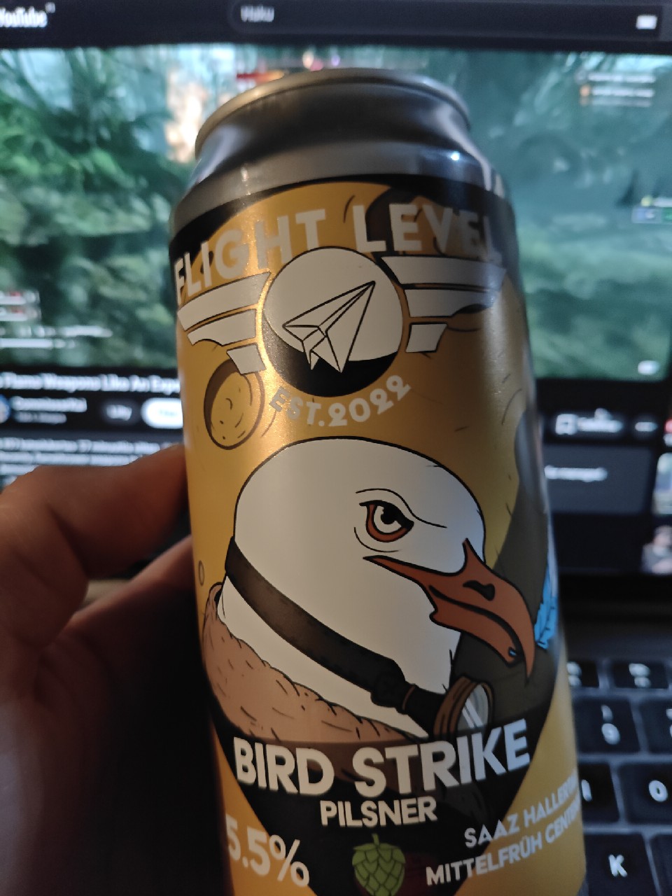 Bird Strike, Finland