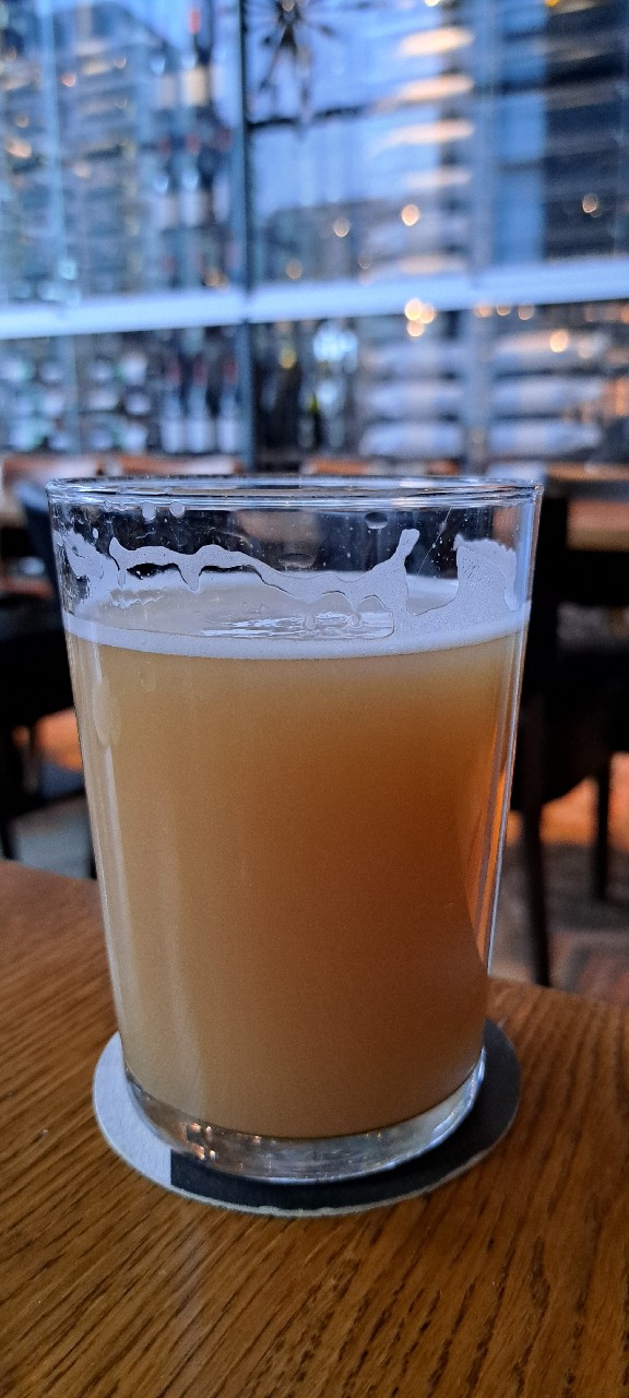 Hemmola Haze Vol XVI: CIP 076 & Rakau, United Gypsies (UG) Brewery