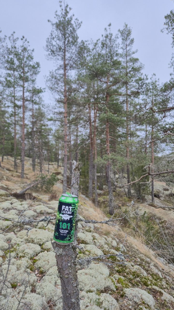 101 California pale ale anniversary, Finland