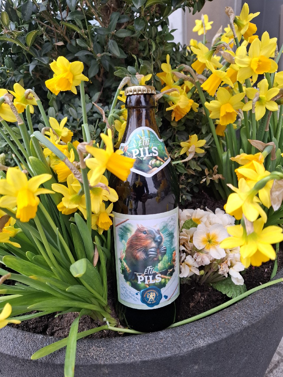 Teisnacher Pils, Ettl Bräu