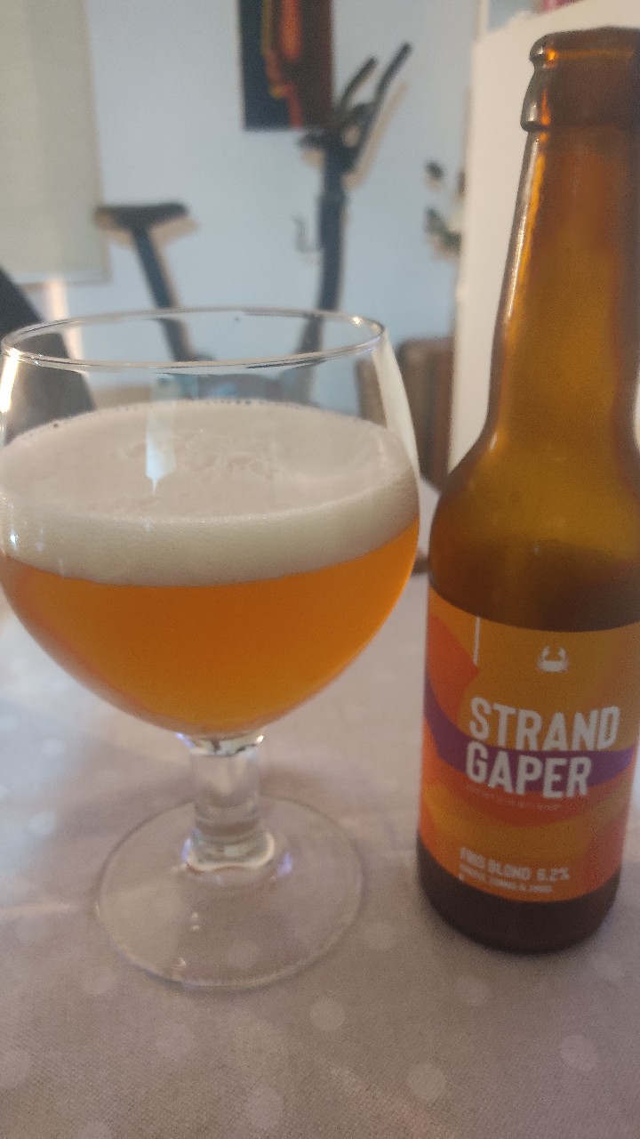 Strandgaper, Belgium