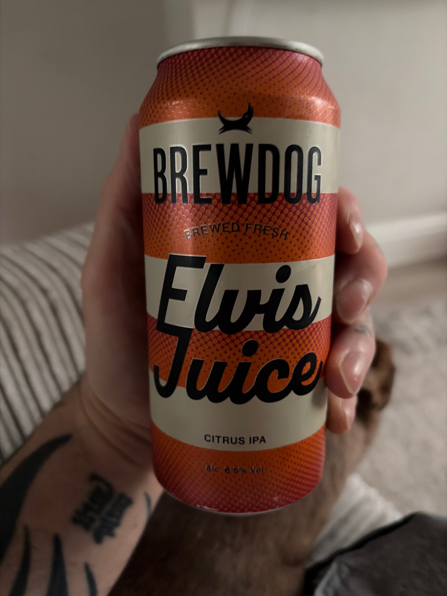Elvis Juice, Scotland
