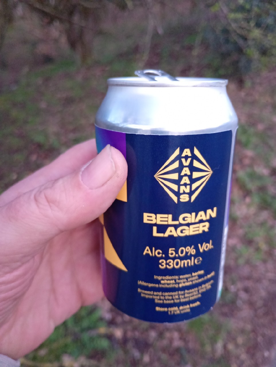 Belgian Lager, Avaans