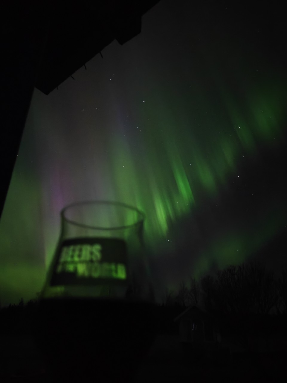 Baltic Porter Day 2025, Estonia