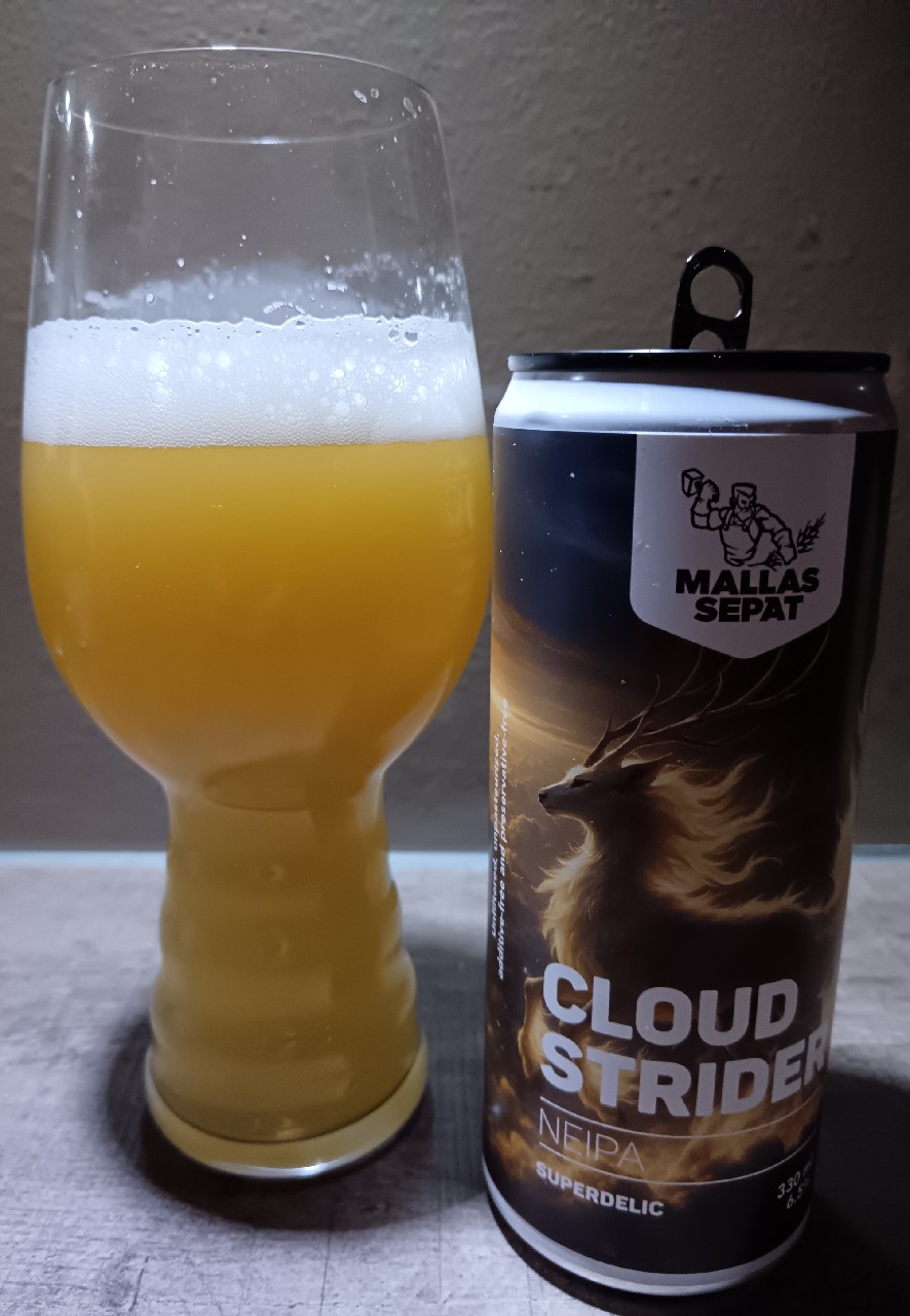 Cloud Strider, Mallassepät