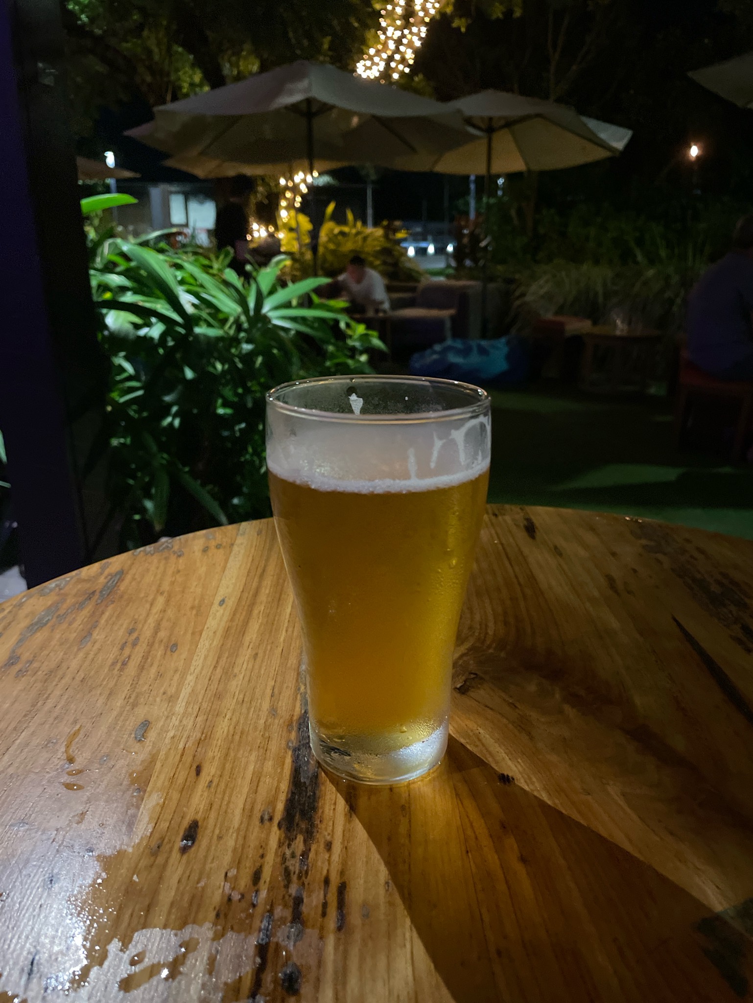 Latitude 17, MacAlister Brewing Co.