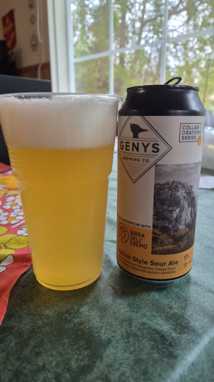 Italian Style Sour Ale, Genys Brewing Co.