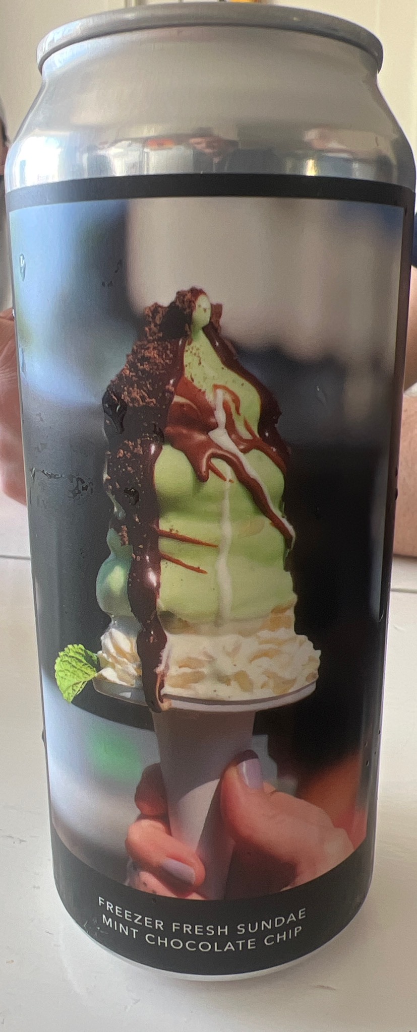 freezer fresh sundae - mint chocolate chip, Evil Twin Brewing