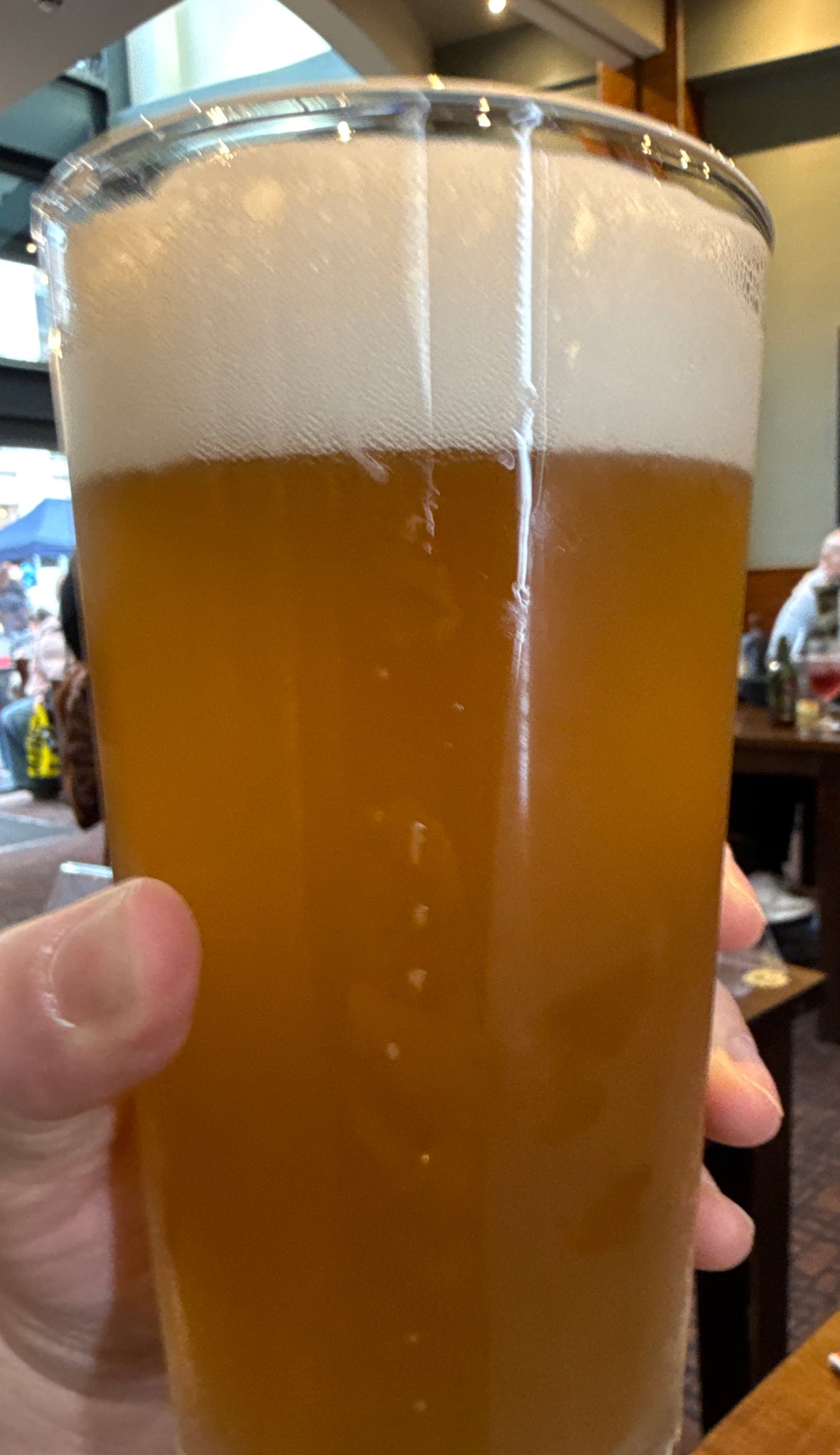 Easy IPA, Seven Bro7hers Brewing Co.