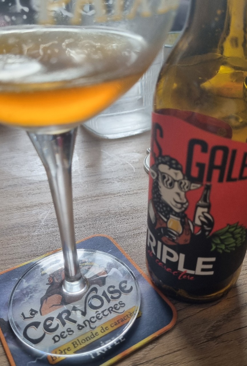 Brebis Galeuse Triple, Brasserie Brebis Galeuse [Closed]