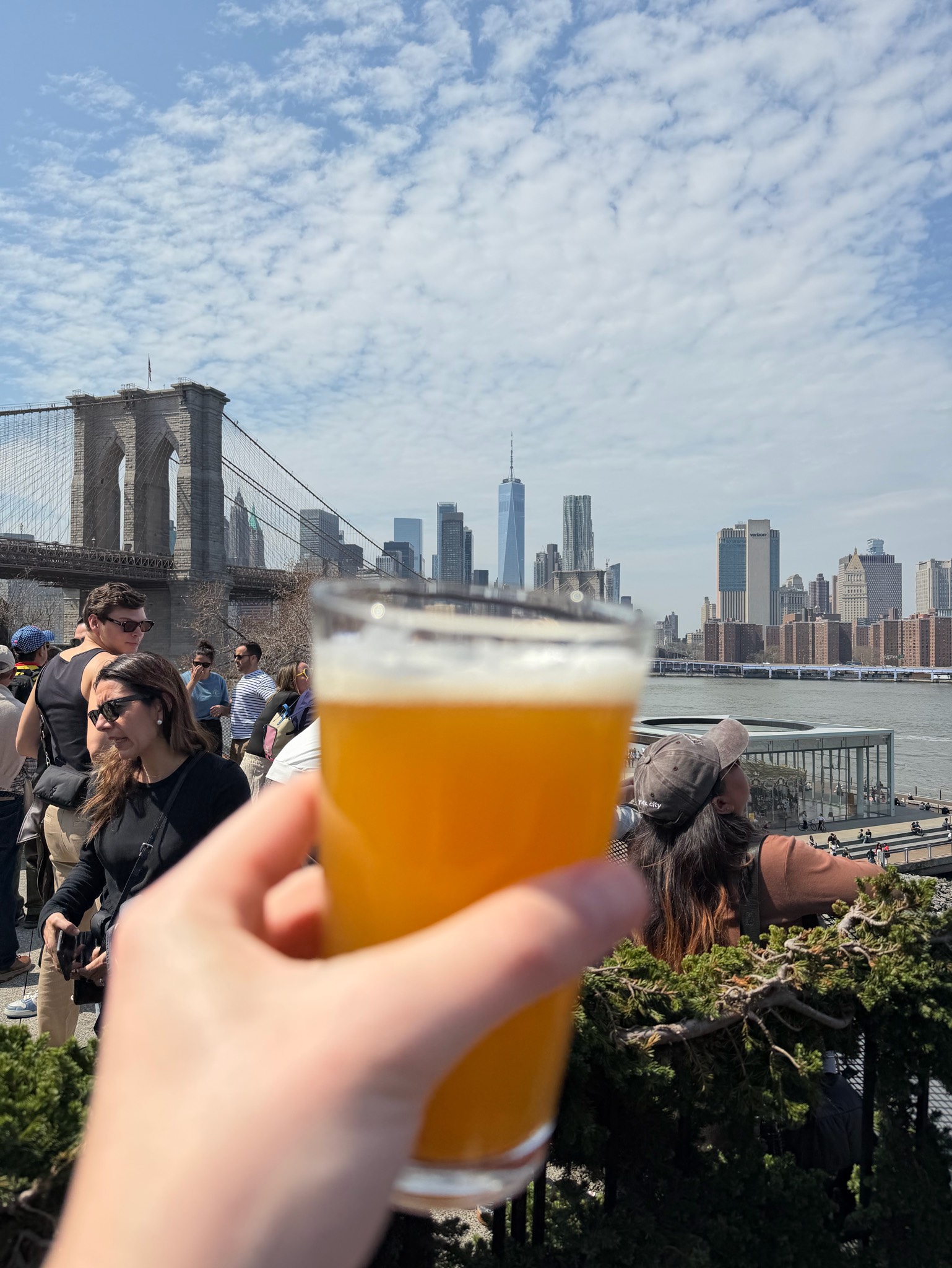 Merman IPA / Merman NY IPA, Coney Island Brewing Company