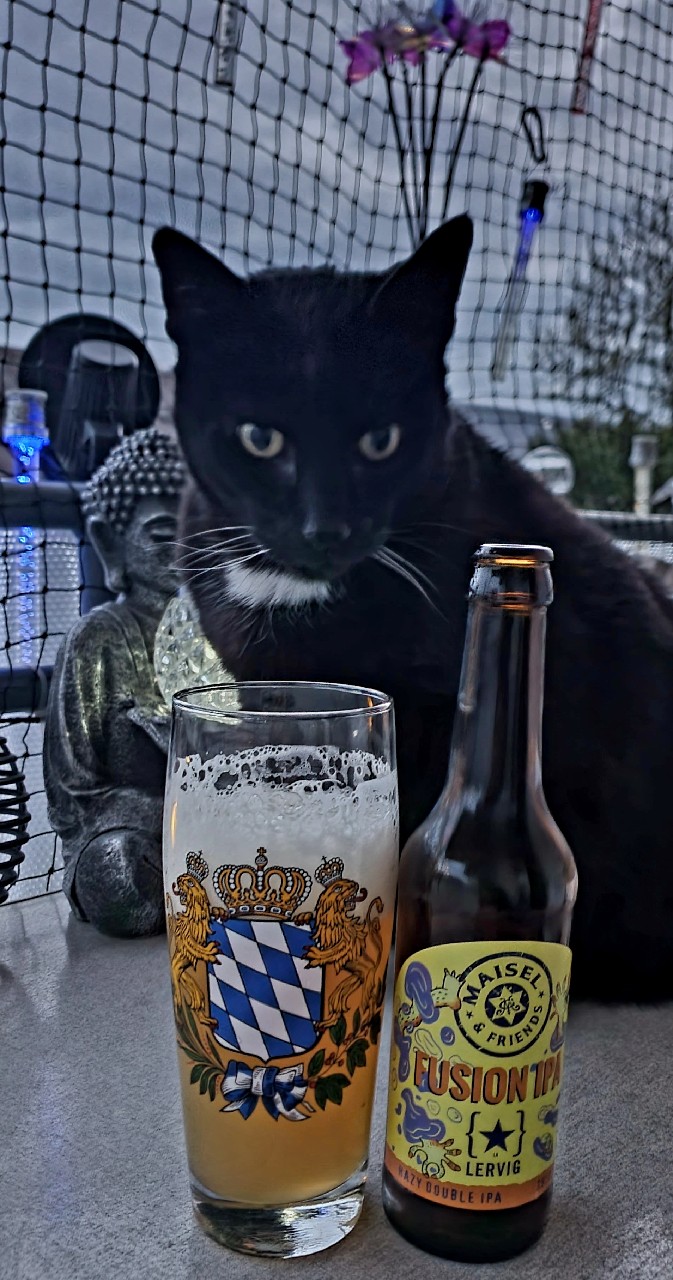 Fusion IPA - Lervig, Brauerei Gebr. Maisel