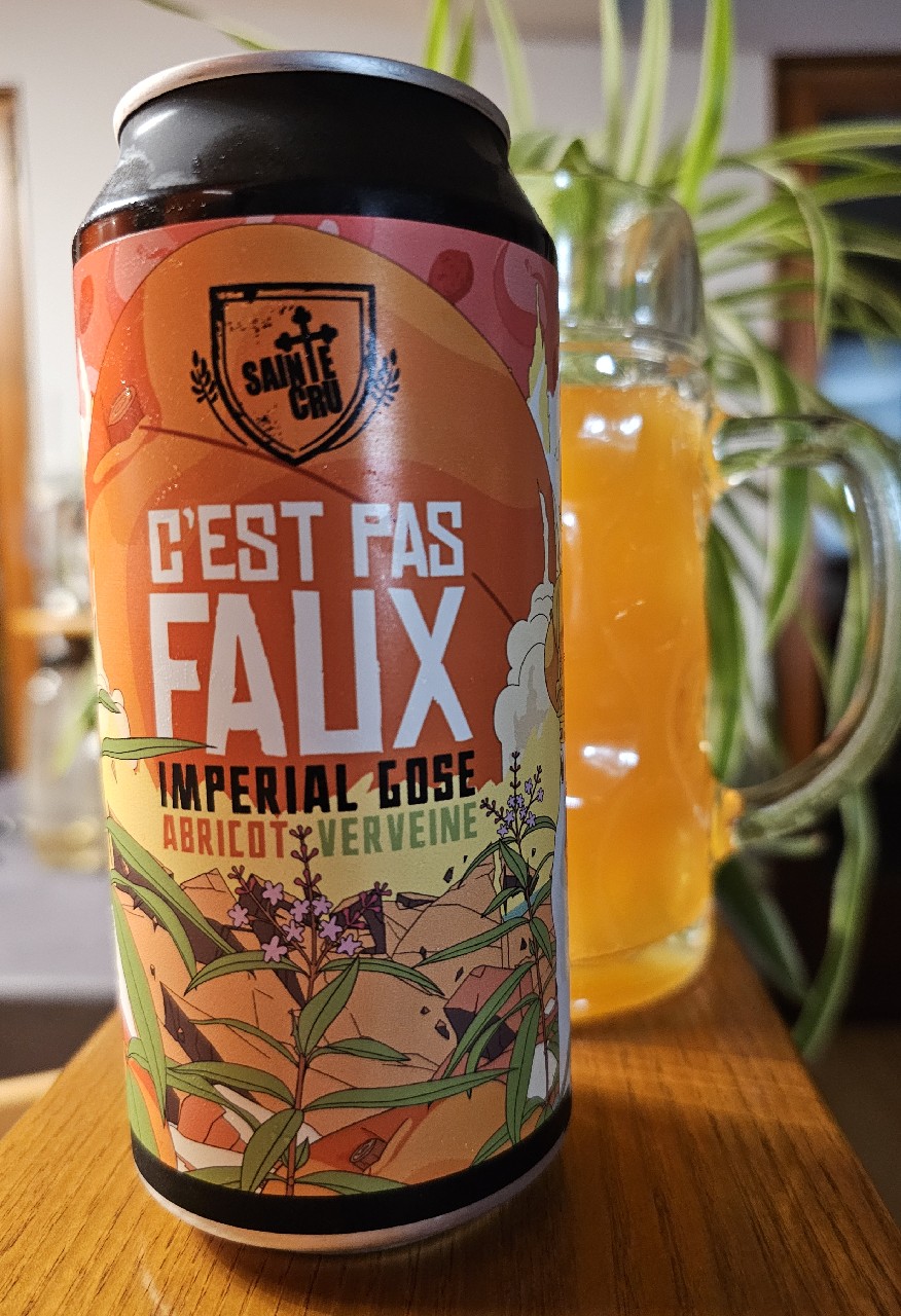 C'Est Pas Faux, France