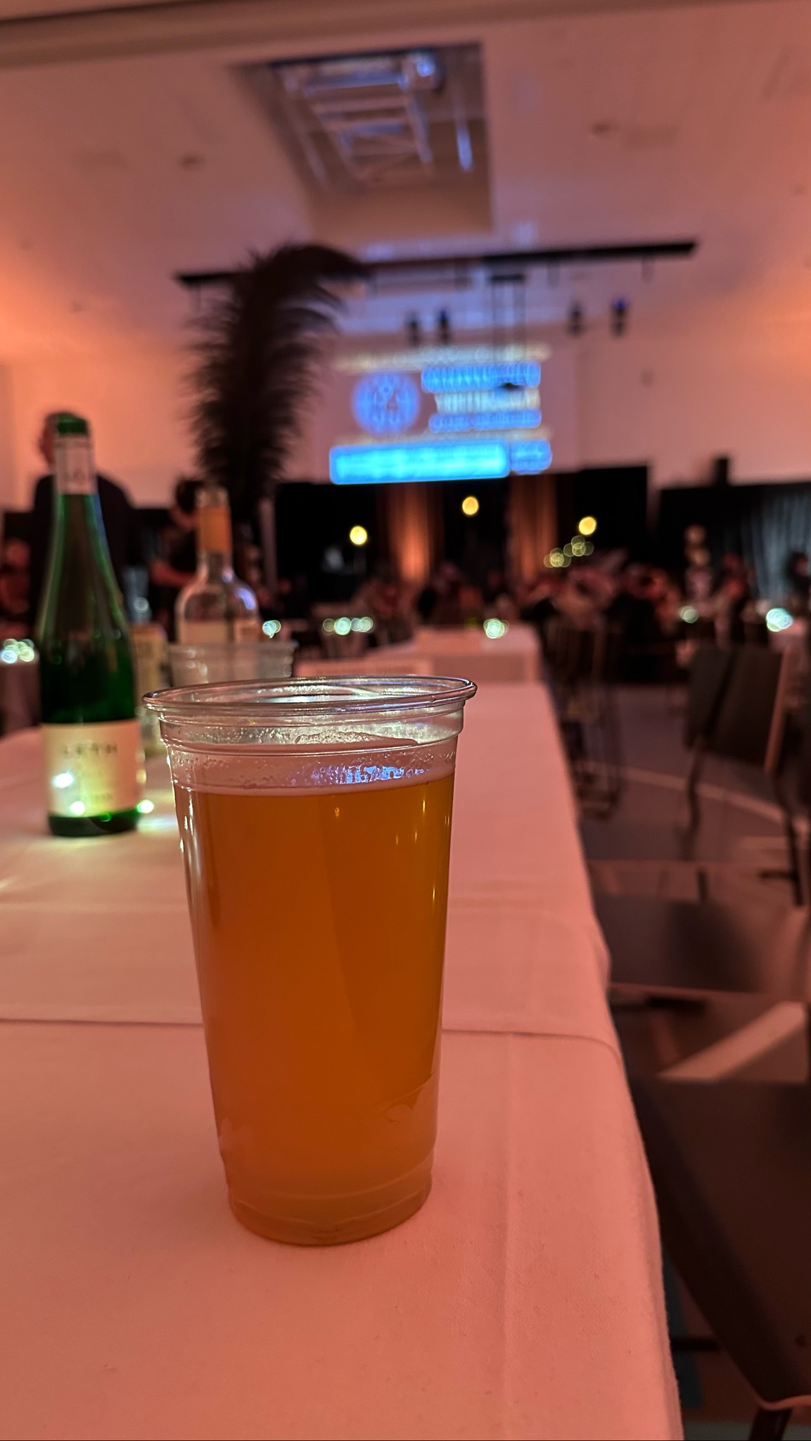 Paper NEIPA, RPS Brewing