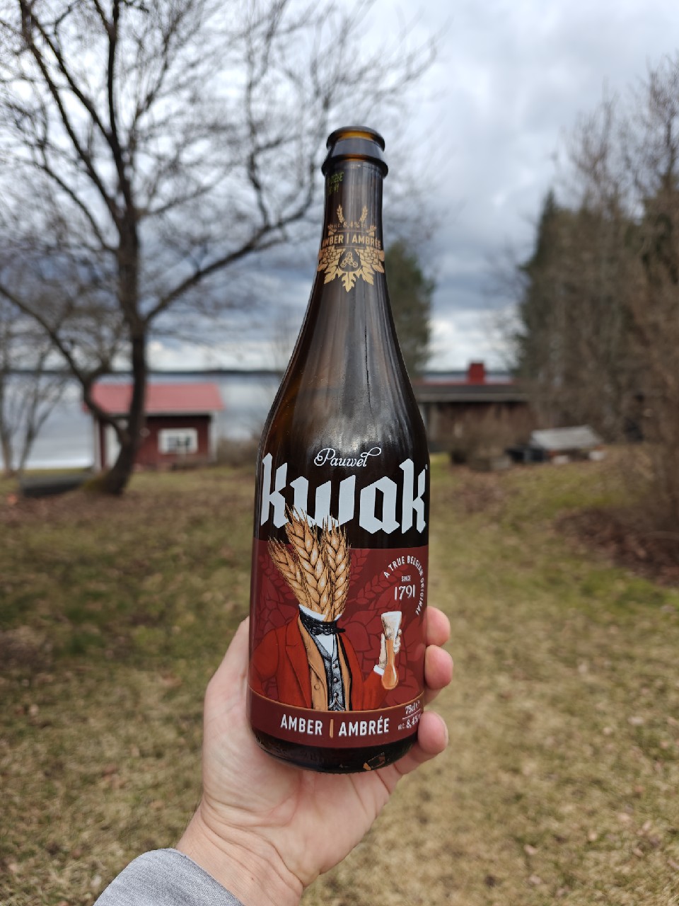 Pauwel Kwak, Belgium