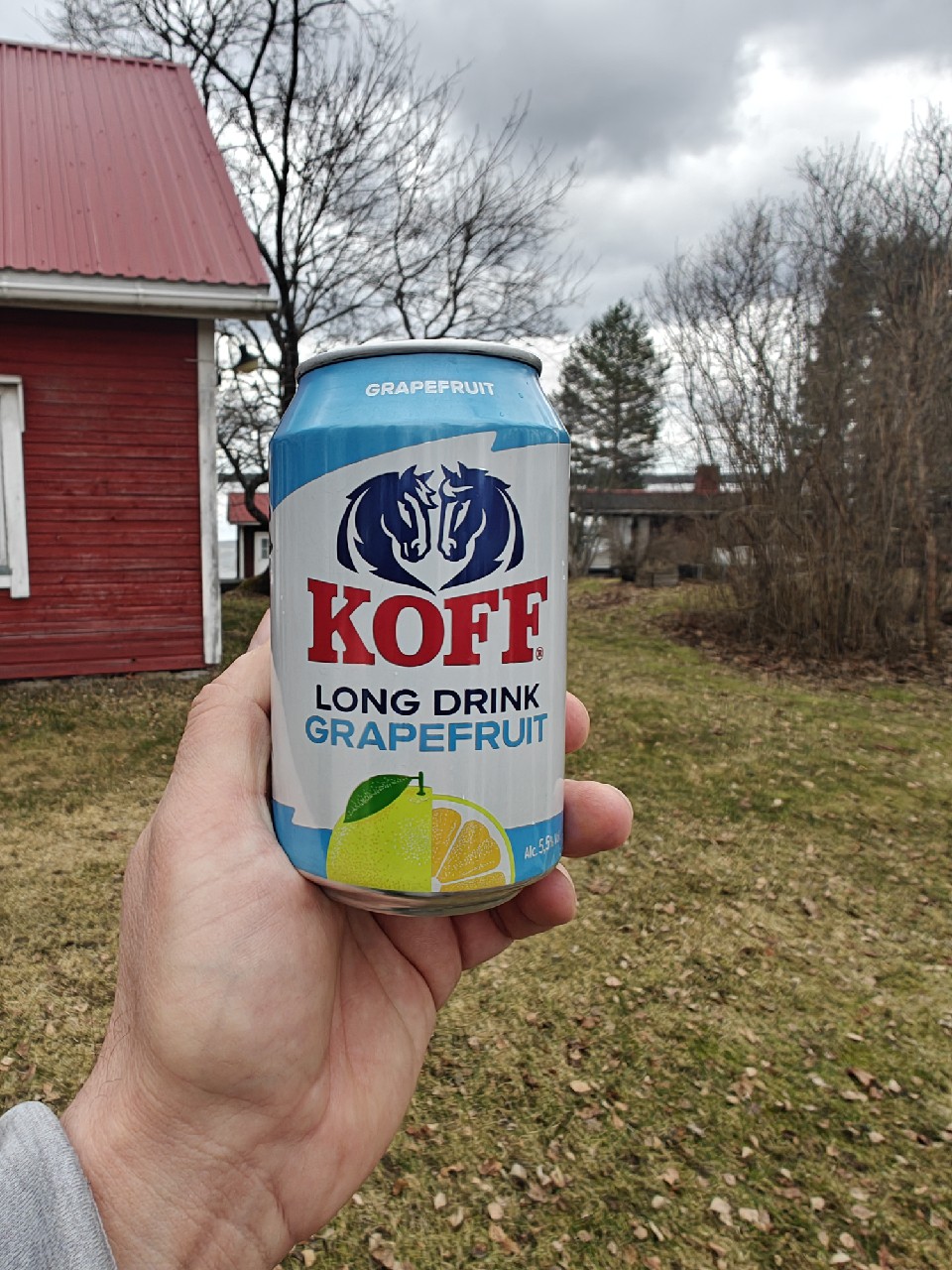 KOFF Long Drink Gin & Grapefruit, Finland