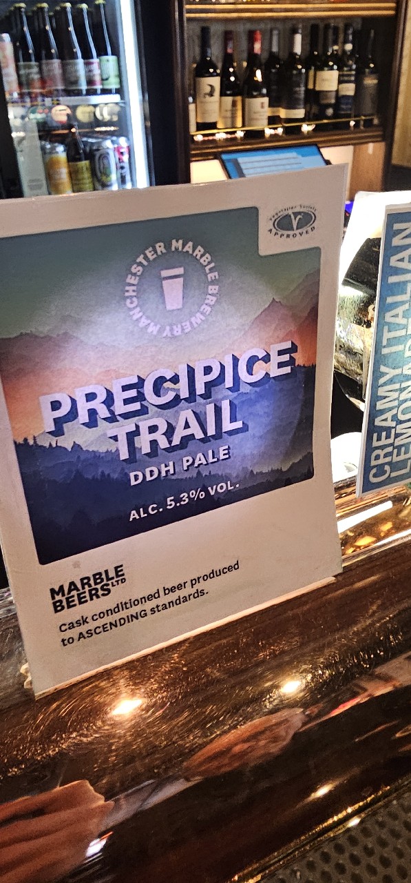 Precipice of Light, Vibrant Forest Brewery