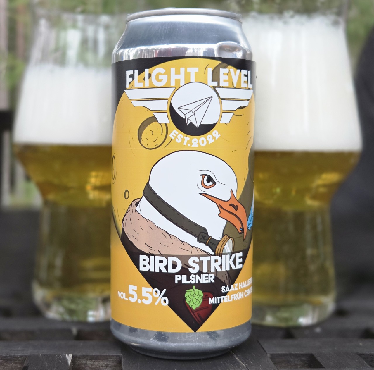 Bird Strike, Finland