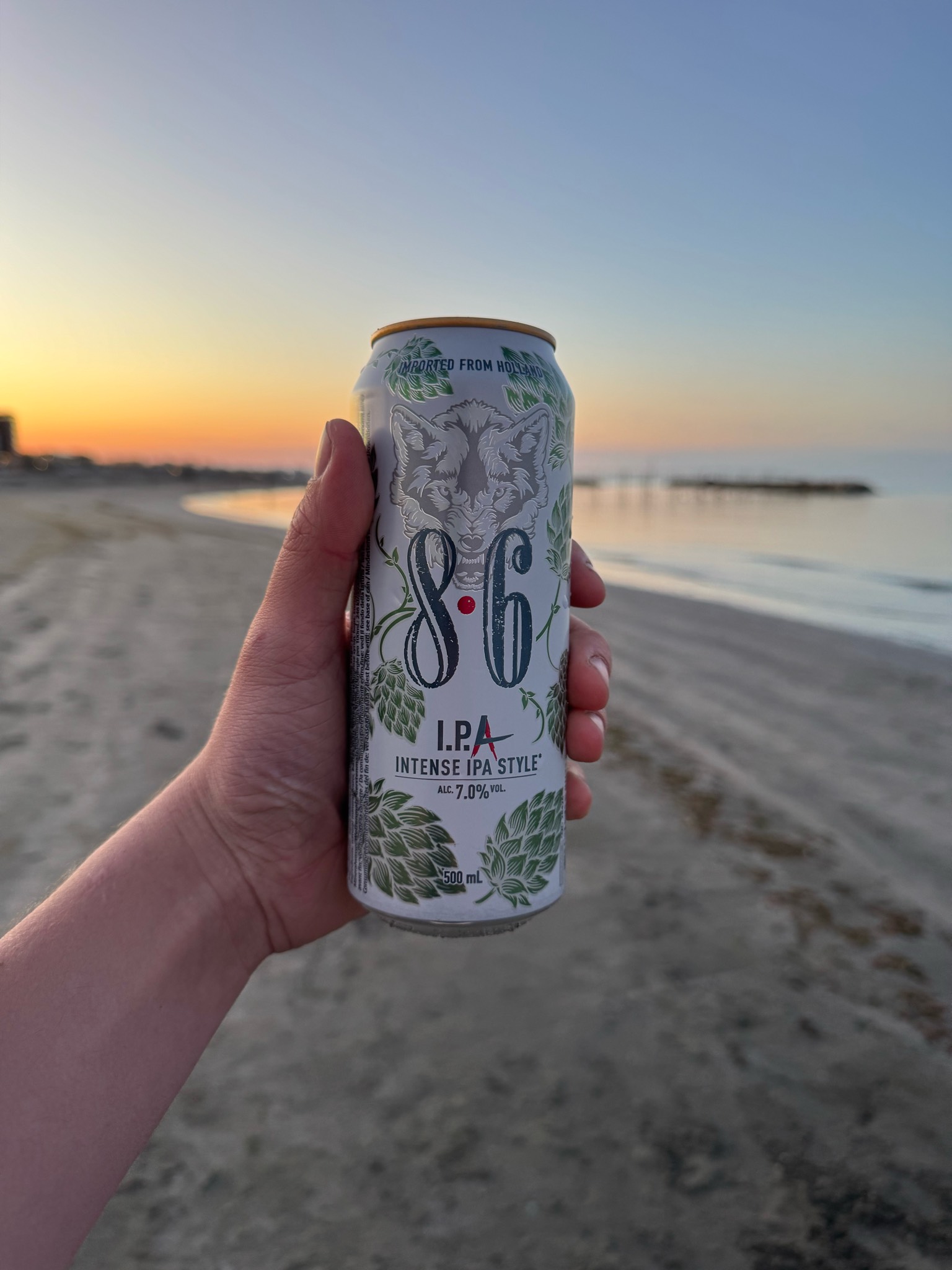 8.6 IPA, Netherlands