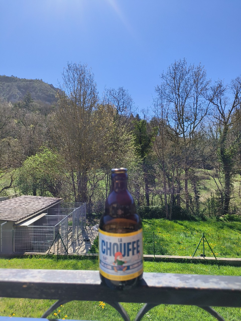 Chouffe Sans Alcool | Alcoholvrij, Belgium
