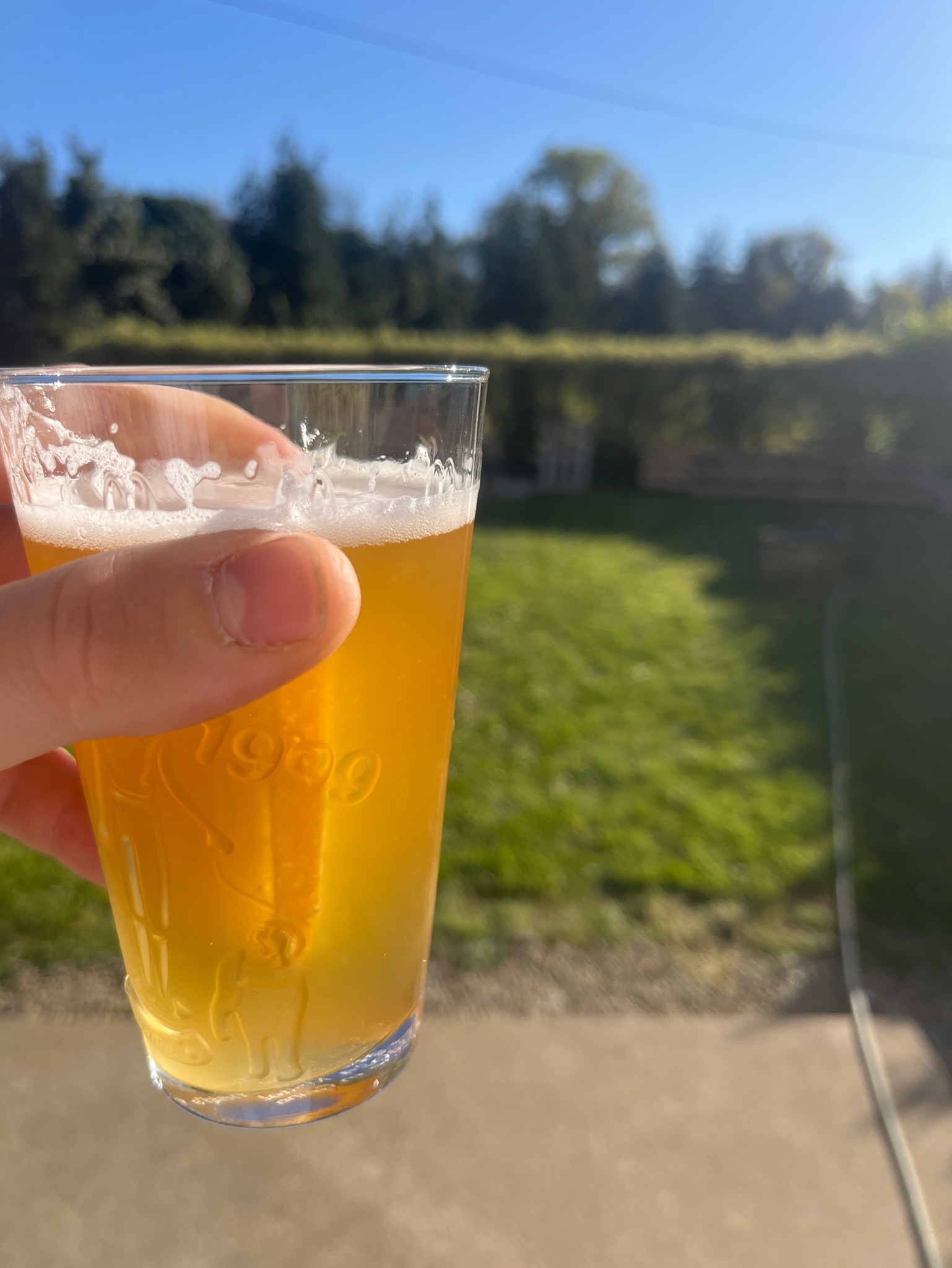 Meteor White IPA, France