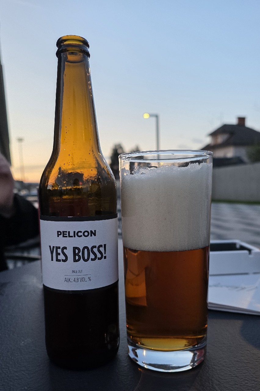 Yes Boss!, Pivovarna Pelicon