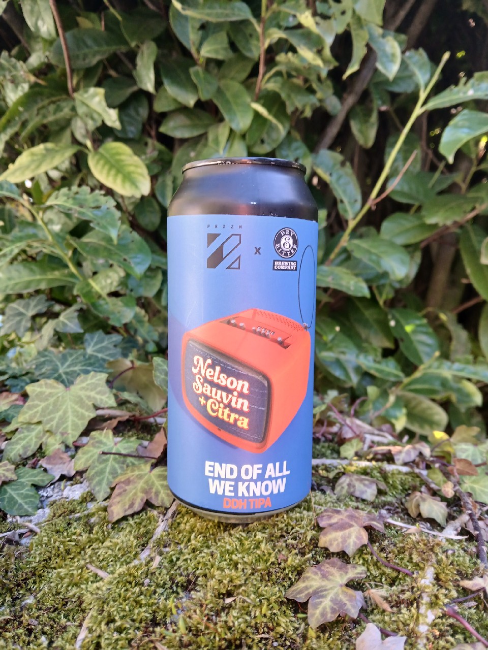 End of all we know, Prizm Brewing Co.