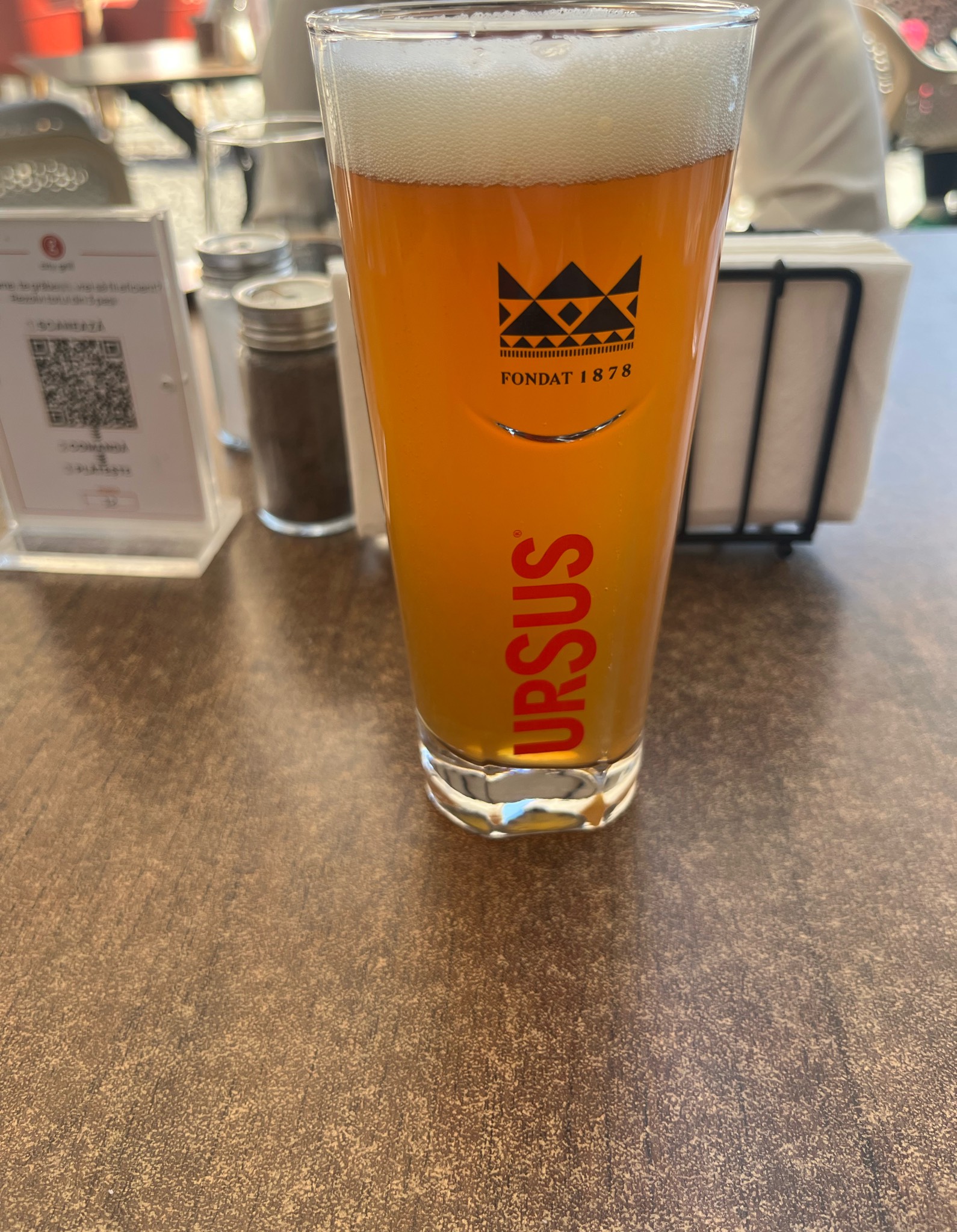 Ursus IPA, Romania