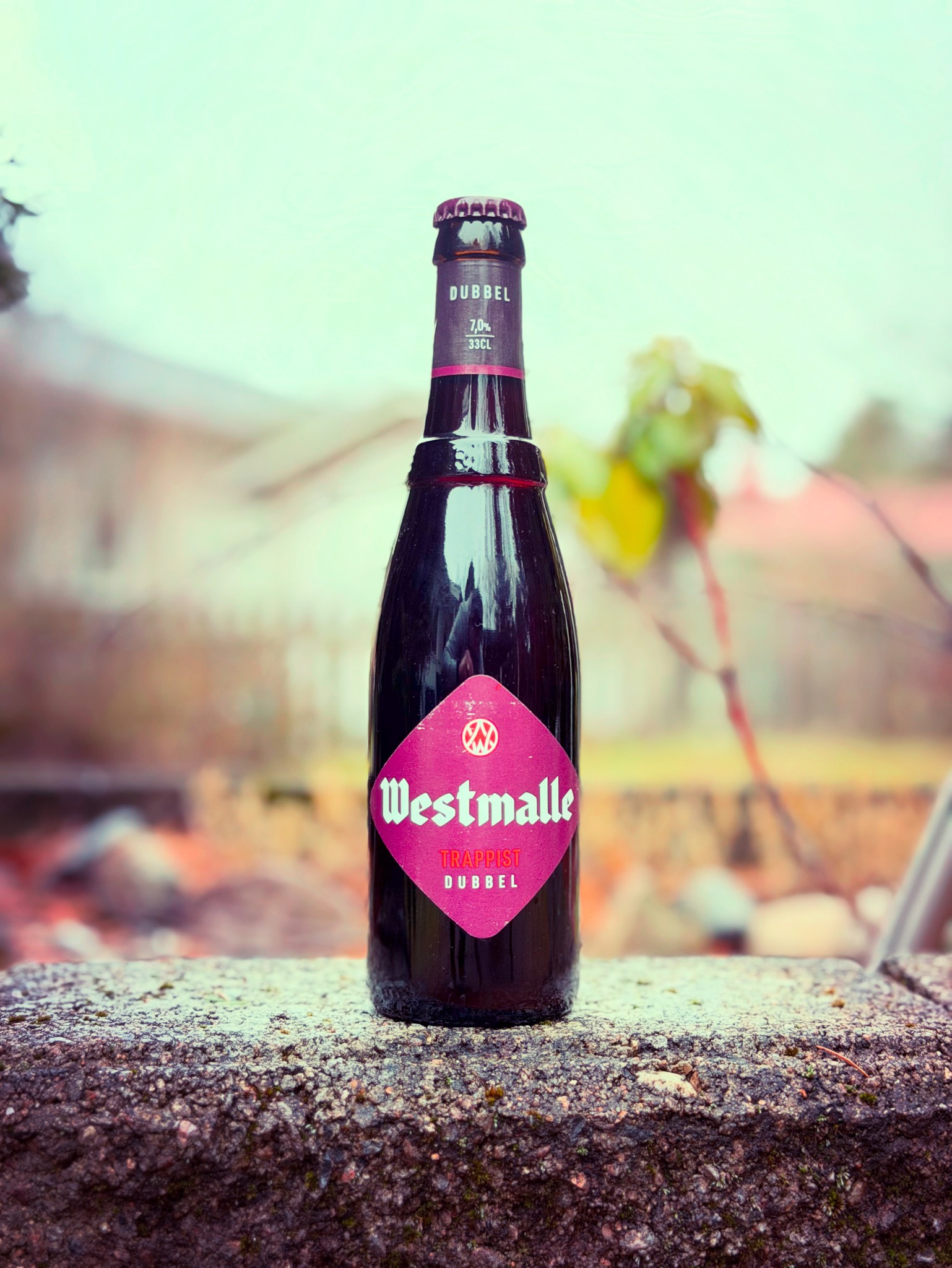 Westmalle Trappist Dubbel, Belgium
